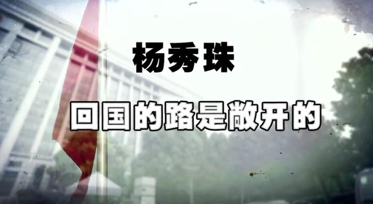 红色通缉——专访浙江省建设厅原副厅长杨秀珠