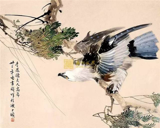第一幅进入白宫的中国画原来是他画的，徐悲鸿称其画鸽“为古今第一”！