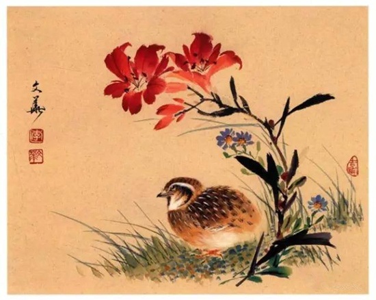 图文教程：小写意花鸟基础教程之禽鸟画法