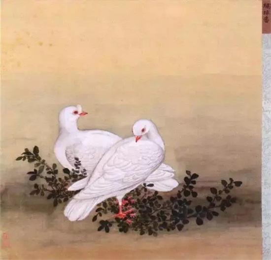 北京故宫收藏珍品，清宫画家笔下现已绝迹的鸽子