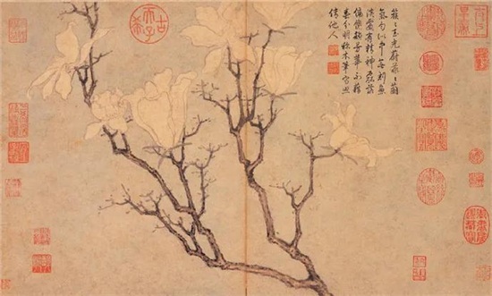 文徵明《白玉兰图卷》皎皎玉兰，分外妖娆