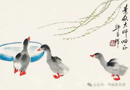 春天的小鸭子，太可爱了