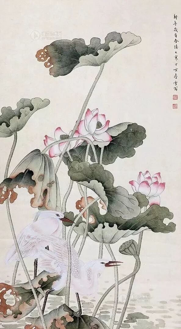 这工笔荷花，真养眼